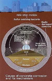 Cause of concrete corrosion and its mechanism